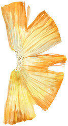 Similar image 21908282