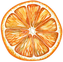 Similar image 21908440