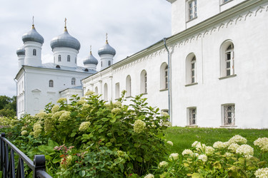 Similar image 21907329