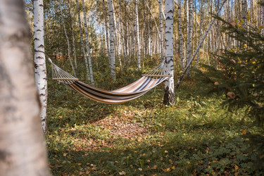 Similar image 21909387