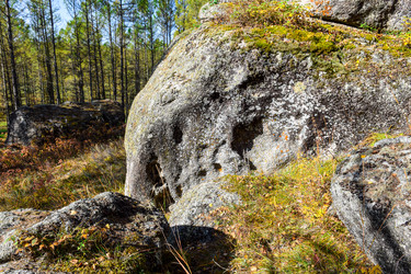 Similar image 21907540