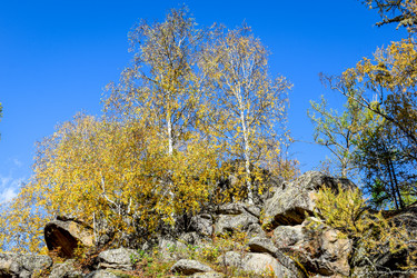 Similar image 21907542