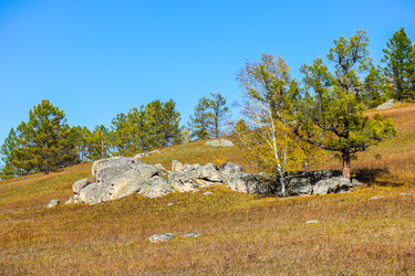 Similar image 21907549