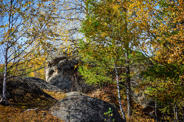 Similar image 21907551