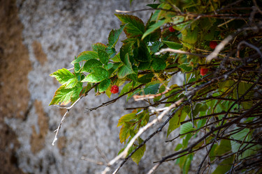 Similar image 21907557