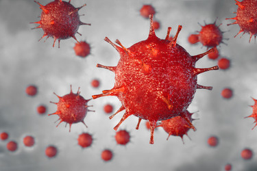 Similar image 21909412