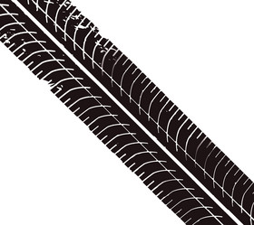 Similar image 21909415