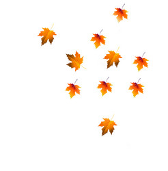 Similar image 21909581