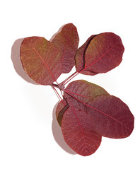 Similar image 21909593