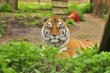 Similar image 21911043