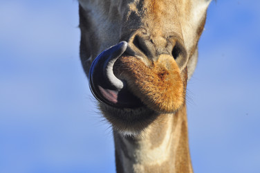 Similar image 21911044