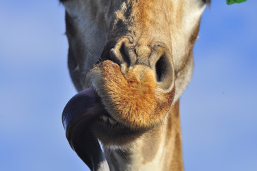 Similar image 21911045