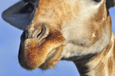 Similar image 21911046