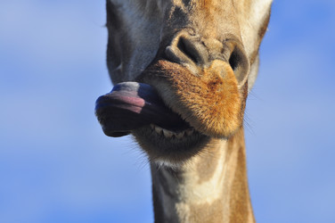 Similar image 21911047