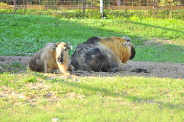 Similar image 21911048