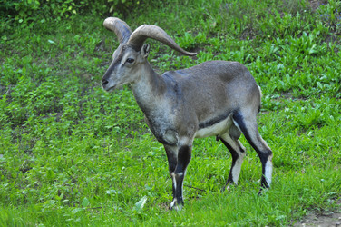 Similar image 21911049