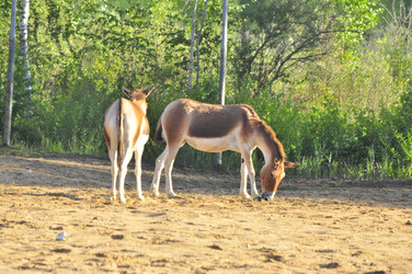 Similar image 21911050