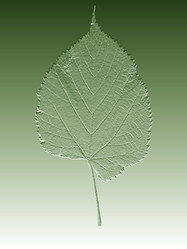 Similar image 21909280