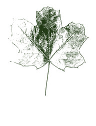 Similar image 21909285