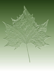 Similar image 21909286