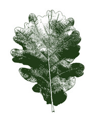 Similar image 21909287