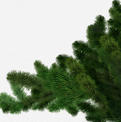 Similar image 21909289