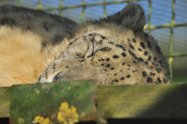 Similar image 21911052