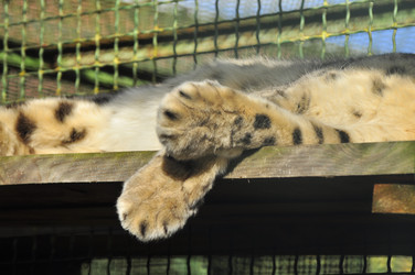 Similar image 21911054