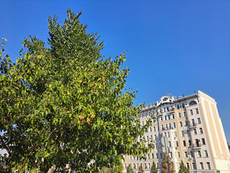 Similar image 21911055