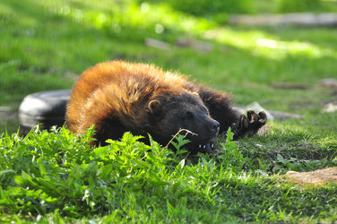 Similar image 21911058