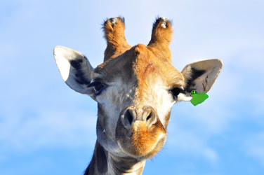 Similar image 21911062