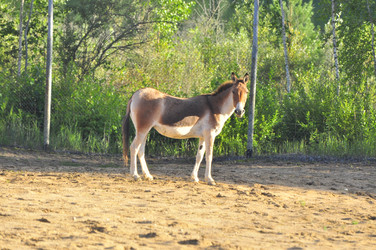 Similar image 21911066