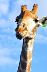 Similar image 21911068