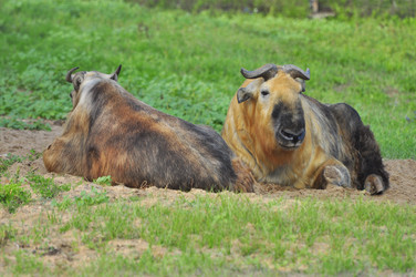 Similar image 21911069