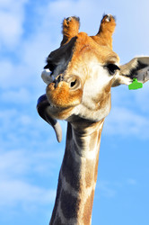 Similar image 21911070