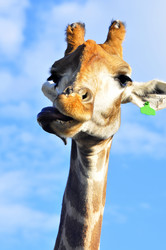 Similar image 21911071