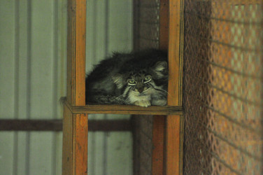 Similar image 21911072