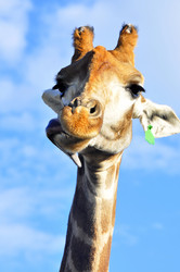 Similar image 21911074