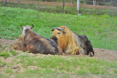 Similar image 21911076