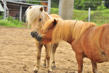 Similar image 21911078