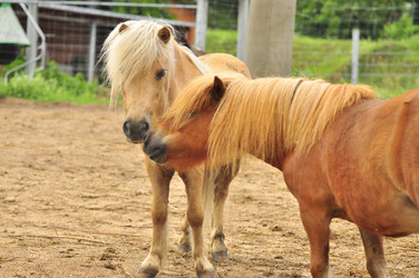 Similar image 21911079