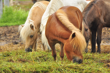 Similar image 21911080