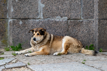 Similar image 21907343