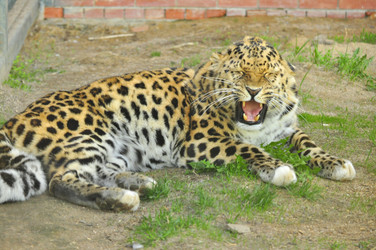 Similar image 21911082