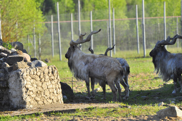 Similar image 21911085