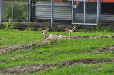 Similar image 21911086