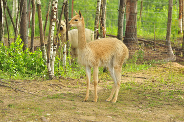 Similar image 21911087