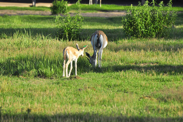 Similar image 21911088