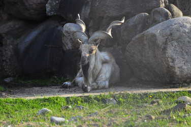 Similar image 21911089