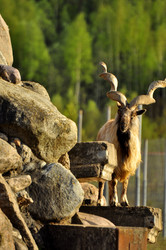 Similar image 21911091